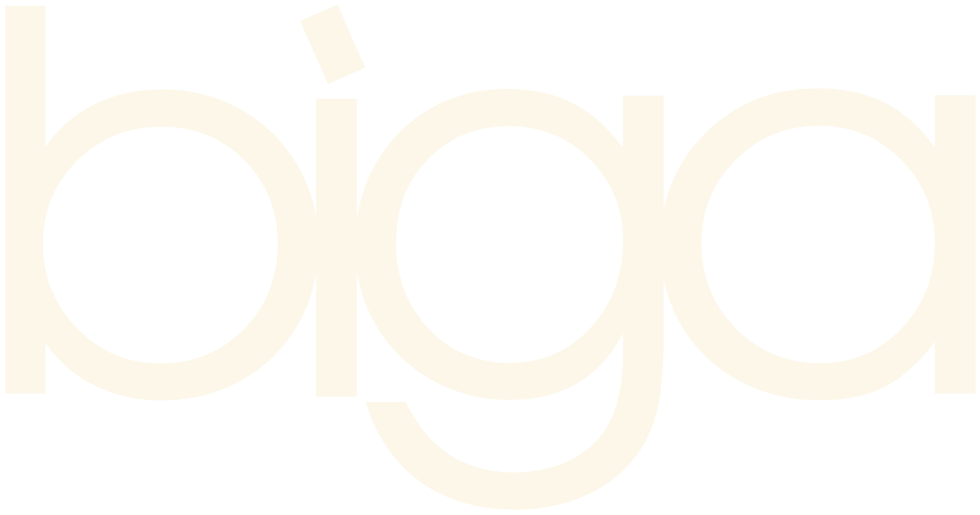 לוגו חברת ביגה, מעבר לדף הבית